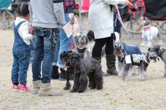 おヒゲちゃん達ワイワイ♪ おヒゲちゃん達ワイワイ♪