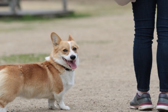 おヒゲちゃん達ワイワイ♪ おヒゲちゃん達ワイワイ♪