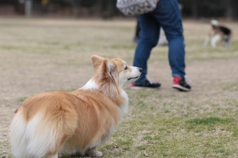 おヒゲちゃん達ワイワイ♪ おヒゲちゃん達ワイワイ♪
