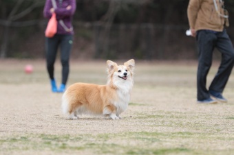 おヒゲちゃん達ワイワイ♪ おヒゲちゃん達ワイワイ♪
