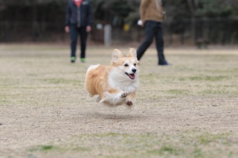 おヒゲちゃん達ワイワイ♪ おヒゲちゃん達ワイワイ♪