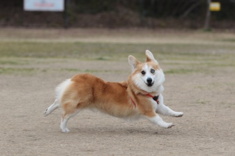おヒゲちゃん達ワイワイ♪ おヒゲちゃん達ワイワイ♪