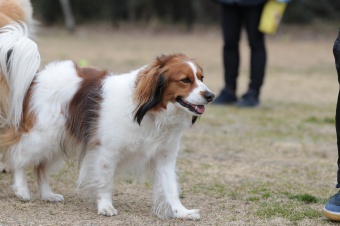 おヒゲちゃん達ワイワイ♪ おヒゲちゃん達ワイワイ♪