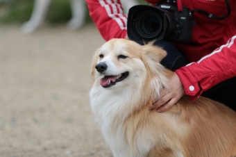 おヒゲちゃん達ワイワイ♪ おヒゲちゃん達ワイワイ♪