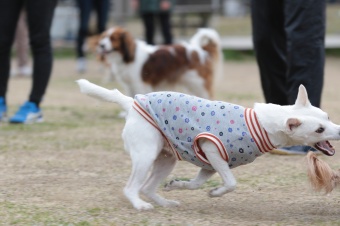 おヒゲちゃん達ワイワイ♪ おヒゲちゃん達ワイワイ♪