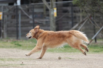 おヒゲちゃん達ワイワイ♪ おヒゲちゃん達ワイワイ♪
