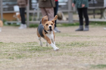 おヒゲちゃん達ワイワイ♪ おヒゲちゃん達ワイワイ♪