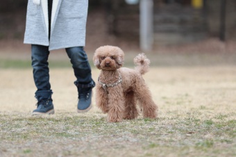 おヒゲちゃん達ワイワイ♪ おヒゲちゃん達ワイワイ♪