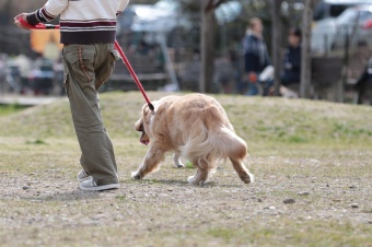 おヒゲちゃん達ワイワイ♪ おヒゲちゃん達ワイワイ♪
