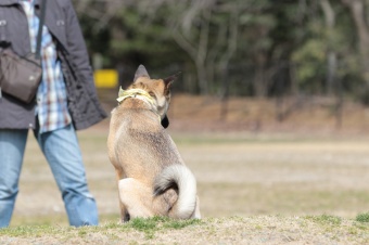 おヒゲちゃん達ワイワイ♪ おヒゲちゃん達ワイワイ♪