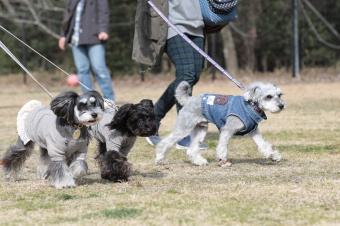おヒゲちゃん達ワイワイ♪ おヒゲちゃん達ワイワイ♪