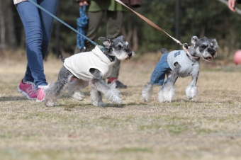 おヒゲちゃん達ワイワイ♪ おヒゲちゃん達ワイワイ♪
