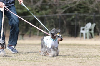 おヒゲちゃん達ワイワイ♪ おヒゲちゃん達ワイワイ♪