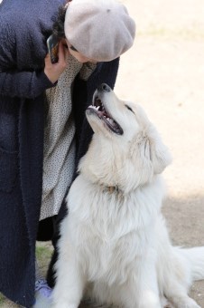 おヒゲちゃん達ワイワイ♪ おヒゲちゃん達ワイワイ♪