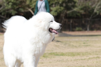 おヒゲちゃん達ワイワイ♪ おヒゲちゃん達ワイワイ♪