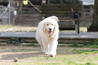 おヒゲちゃん達ワイワイ♪ おヒゲちゃん達ワイワイ♪