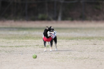 おヒゲちゃん達ワイワイ♪ おヒゲちゃん達ワイワイ♪