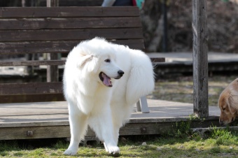 おヒゲちゃん達ワイワイ♪ おヒゲちゃん達ワイワイ♪