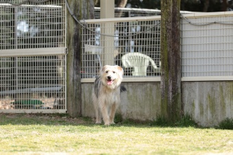 おヒゲちゃん達ワイワイ♪ おヒゲちゃん達ワイワイ♪