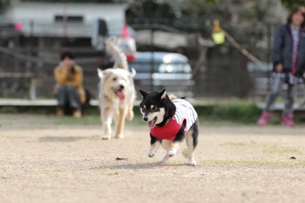 おヒゲちゃん達ワイワイ♪ おヒゲちゃん達ワイワイ♪