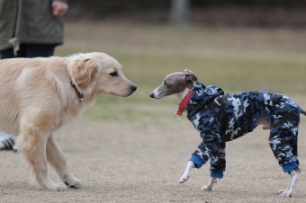 ん? ん?
