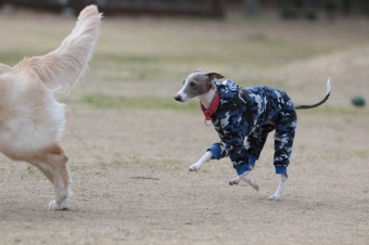 ん? ん?