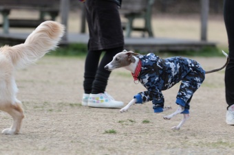 ん? ん?