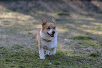 ん? ん?