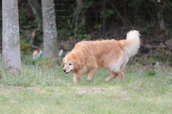 飼い主さんには見えないニンマリ♪ 飼い主さんには見えないニンマリ♪