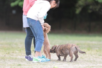 飼い主さんには見えないニンマリ♪ 飼い主さんには見えないニンマリ♪