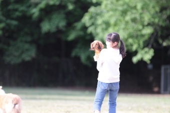 飼い主さんには見えないニンマリ♪ 飼い主さんには見えないニンマリ♪