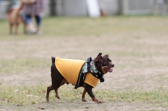 連休も後半! 連休も後半!