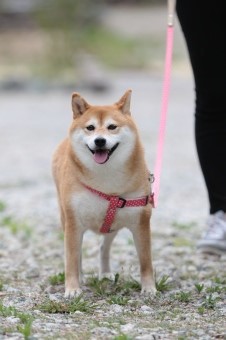 連休も後半! 連休も後半!
