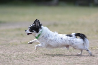 連休も後半! 連休も後半!