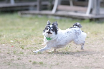 連休も後半! 連休も後半!