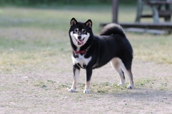 連休も後半! 連休も後半!