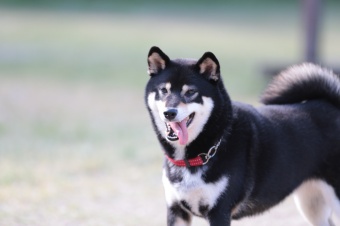 連休も後半! 連休も後半!