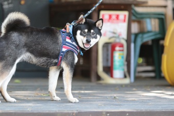 こんなとこからこんにちは♪ こんなとこからこんにちは♪