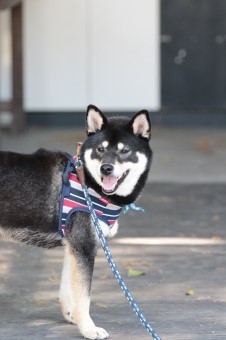 こんなとこからこんにちは♪ こんなとこからこんにちは♪