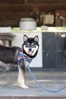 こんなとこからこんにちは♪ こんなとこからこんにちは♪