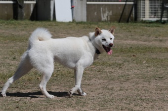 こんなとこからこんにちは♪ こんなとこからこんにちは♪