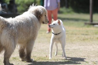 こんなとこからこんにちは♪ こんなとこからこんにちは♪