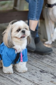こんなとこからこんにちは♪ こんなとこからこんにちは♪