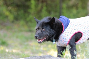 こんなとこからこんにちは♪ こんなとこからこんにちは♪