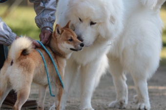 こんなとこからこんにちは♪ こんなとこからこんにちは♪