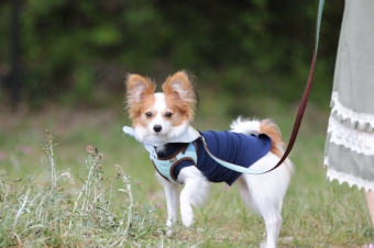 すぅ~ん♪ すぅ~ん♪