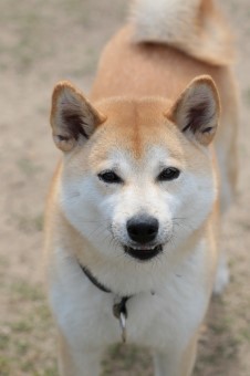 連休のラスト! 連休のラスト!