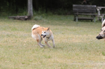 連休のラスト! 連休のラスト!