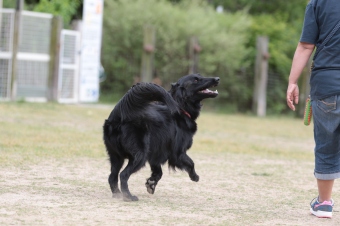 連休のラスト! 連休のラスト!