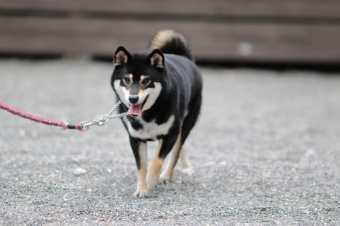 ささ、週末です♪ ささ、週末です♪
